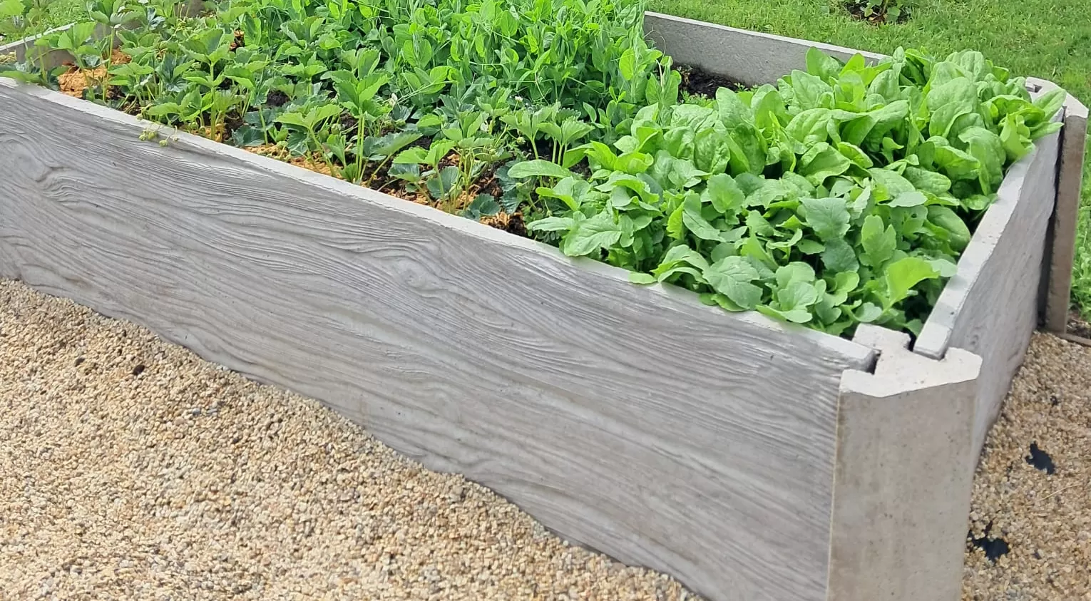 Hochbeete aus Beton: Eine neue Dimension für Ihre Gartenarbeit