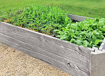 Hochbeete aus Beton: Warum Beton besser für Ihre Pflanzen ist als Holz?